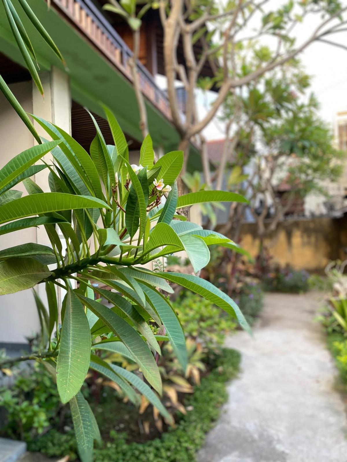 Putra'Lebah Amed Guest House المظهر الخارجي الصورة